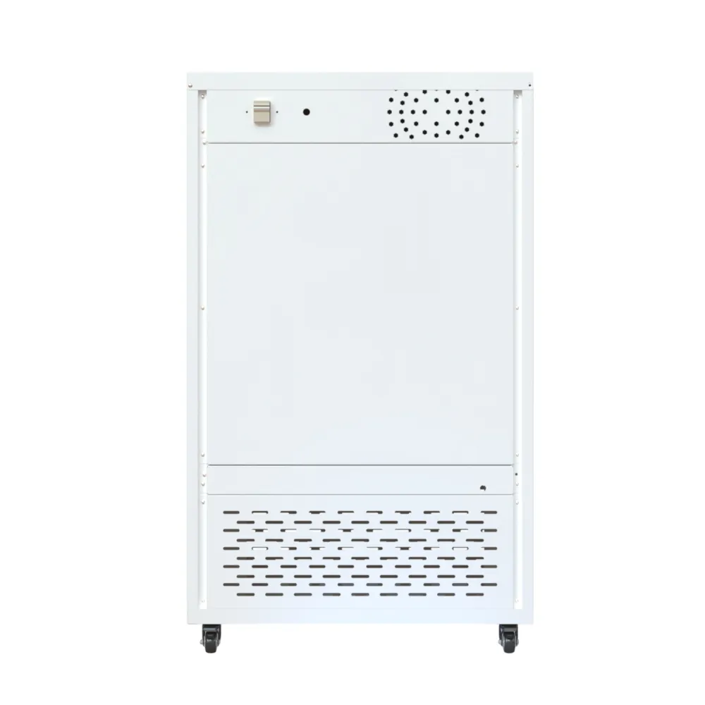 bod incubator BACK.webp