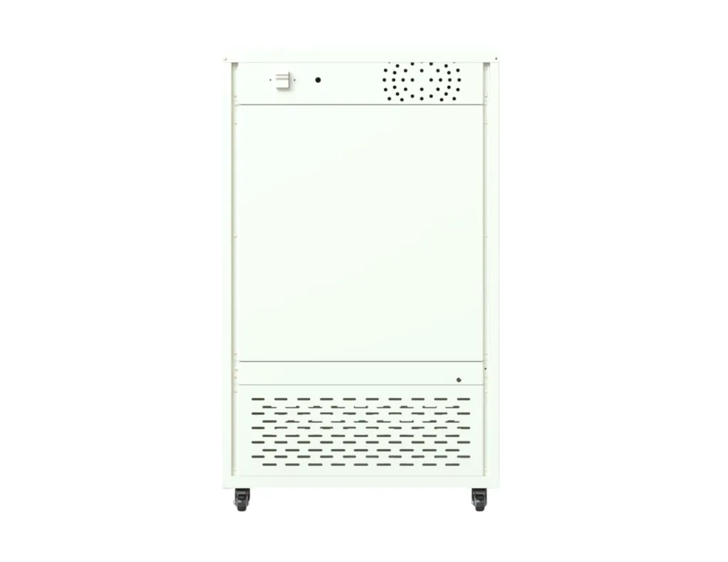 BOD SHAKER BACK.webp