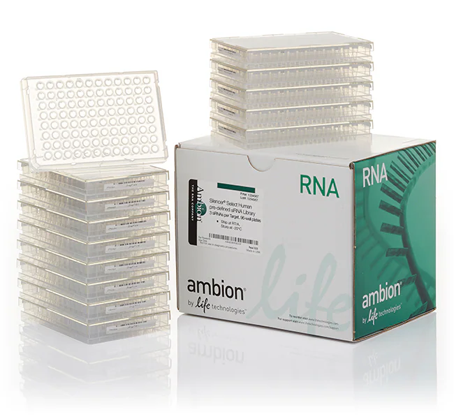 Silencer™ Select Negative Control No. 1 siRNA, 5 nmol