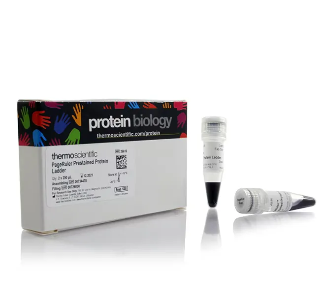 PageRuler™ Prestained Protein Ladder, 10 to 180 kDa (Life Science)