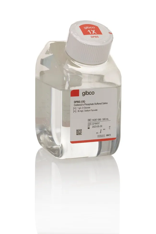 DPBS, calcium, magnesium, glucose, pyruvate (Life Science)