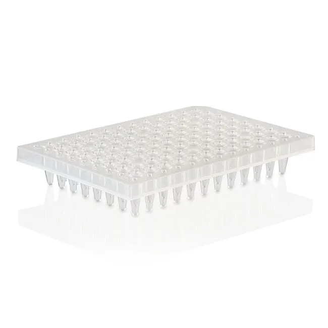 THERMO-FAST 96 PCR DETECTION P, LATE MK2
