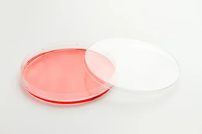 Nunc™ EasYDish™ Dishes