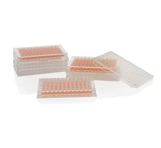 Nunc™ MicroWell™ 96-Well, Nunclon Delta-Treated, Flat-Bottom Microplate (Life Science)