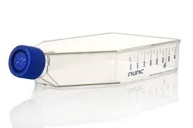 TC FLASK 175CM2 SI FILTER CAP (Life Science)