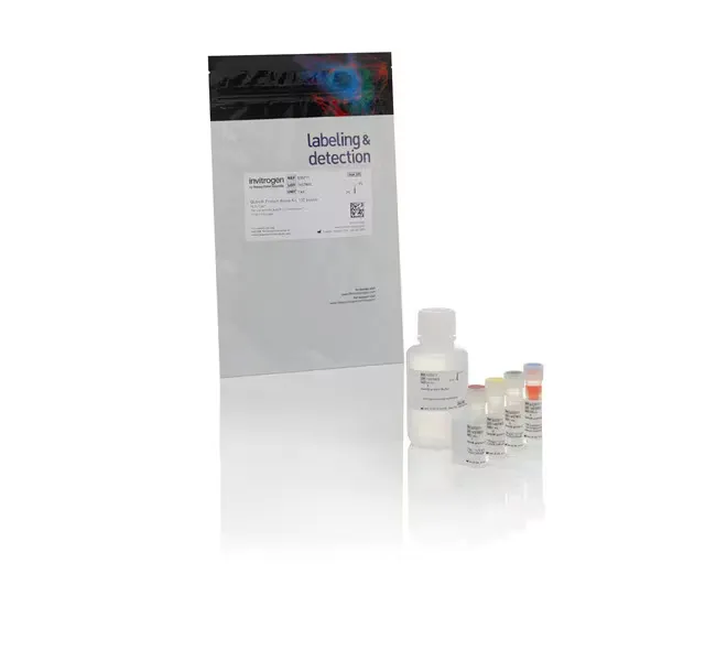 Qubit™ Protein and Protein Broad Range (BR) Assay Kits (Life Science)