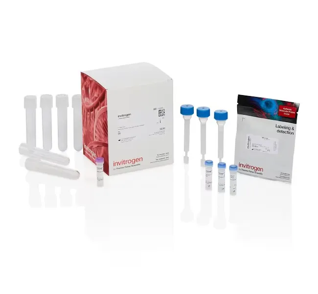 Alexa Fluor 488 Protine Labeling kit