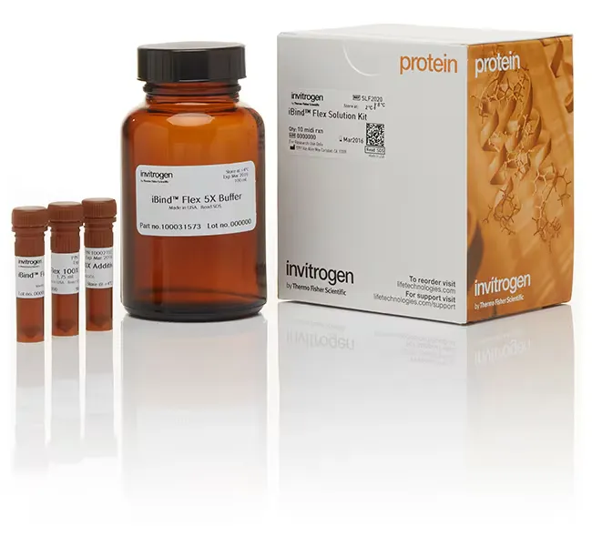 iBind™ Flex Solution Kit 1 kit