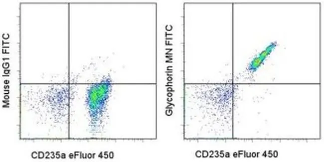 ANTI-HU GLYCOPH A 10F7MN FITC, 100T (Life Science)
