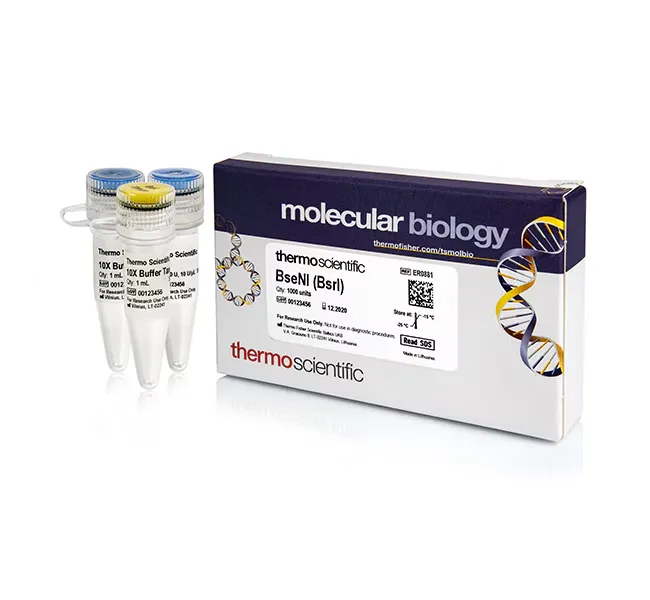 BseNI (BsrI) (10 U/μL) (Life Science)