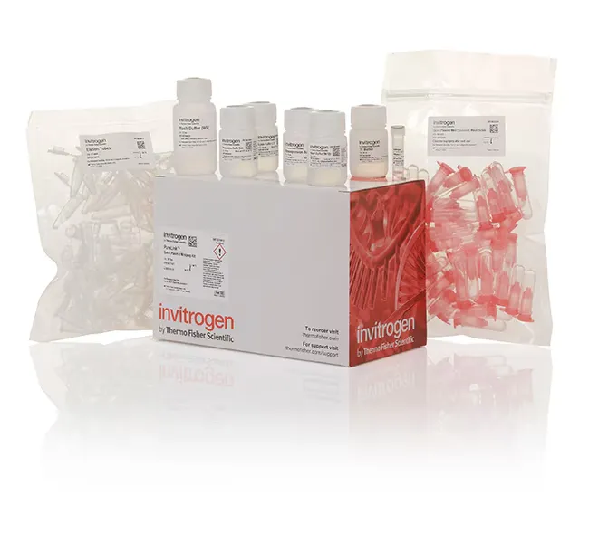 PureLink™ Quick Plasmid Miniprep Kit (Life Science)