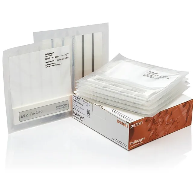 iBind™ Flex Cards, 10 cards