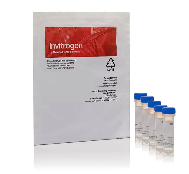 YEAST MITOCHONDRIAL STAIN, 1 KIT