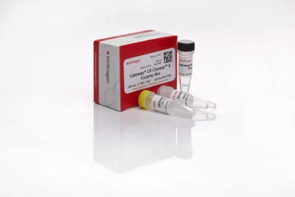 Gateway™ BP Clonase™ II Enzyme mix