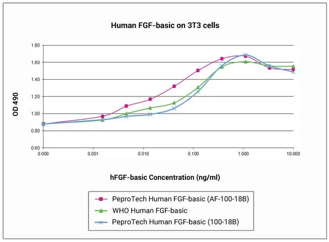 FGF0Basic (AA 100155) Recombinant Human Protein 10 µg