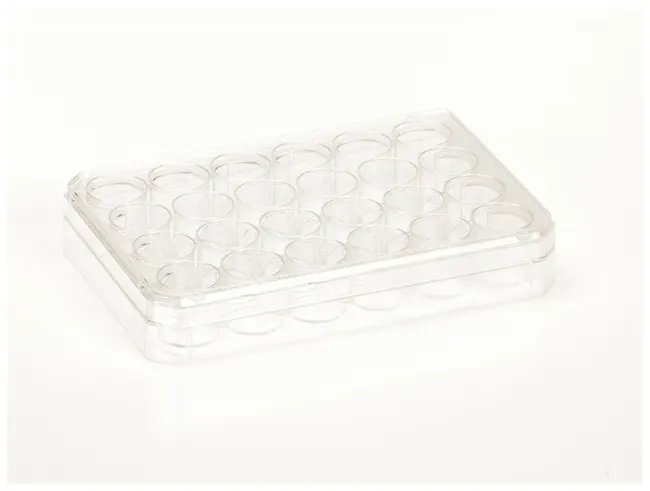 24  Well Nunc™ Cell-Culture Treated Multidishes