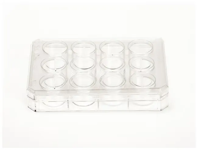 12 Well Nunc™ Cell-Culture Treated Multidish
