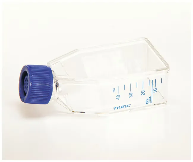 Nunc™ EasYFlask™ Cell Culture Flasks 25cm2